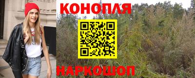 каннабис Новозыбков