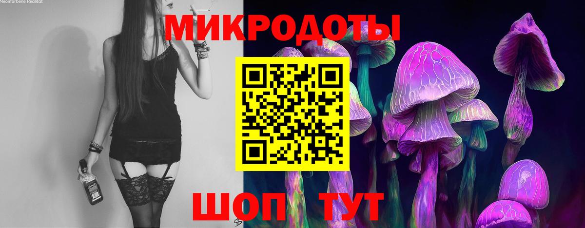 Урус-Мартан  Галлюциногенные грибы Magic Shrooms  Вход с VPN 